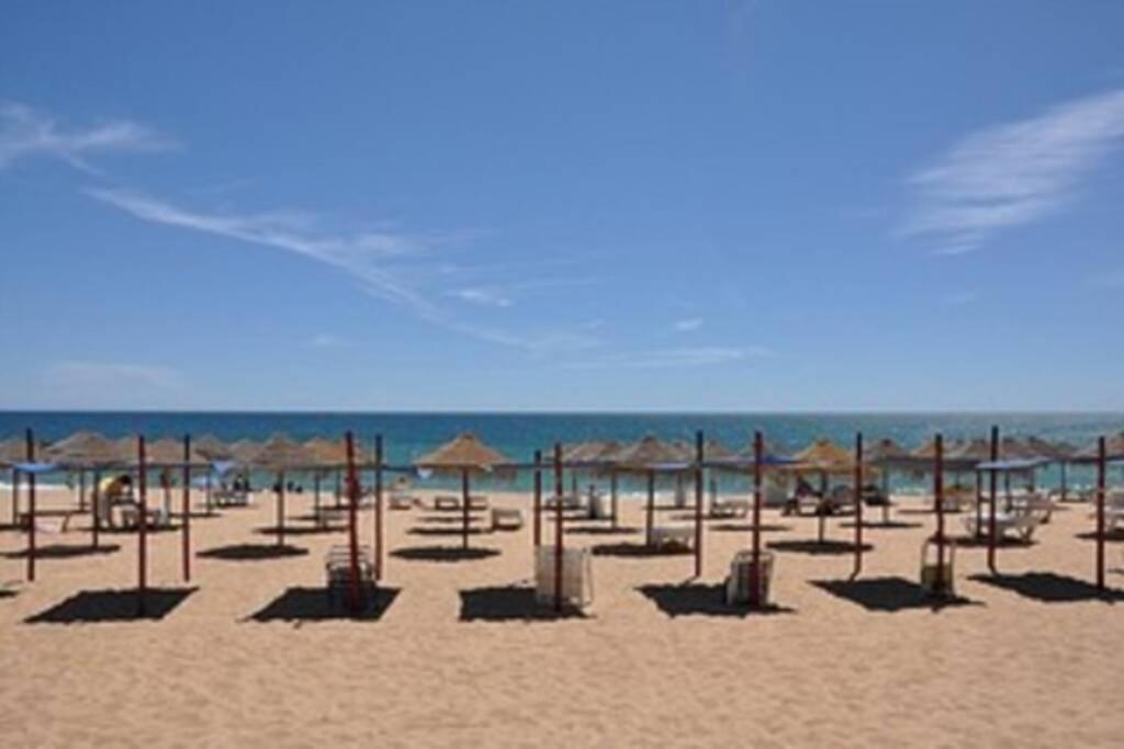 Apartamento Millenium Vista Mar- 2 Passos Da Praia 奎特里拉 外观 照片